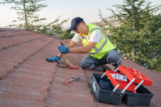 EPDM Roofing in Nederland, CO